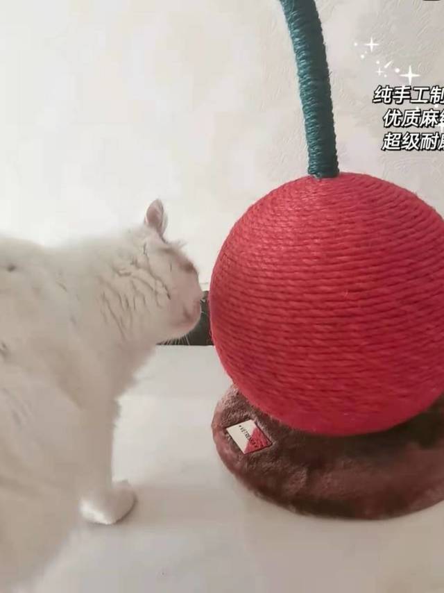 给猫咪捉前过年，置办猫抓板