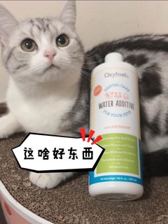 解决猫咪口臭救星，他来了！！