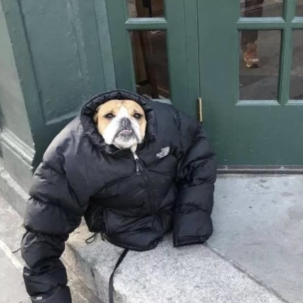 快点入手一件羽绒服应对“大满贯”寒潮吧！12款男士好价羽绒服清单，低至百元！让你轻松应对整个寒冬