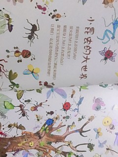 一起读绘本~奇妙的昆虫世界！