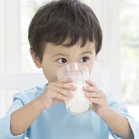 贝因美菁爱幼儿配方奶粉3段上新，1岁以后宝宝的营养好选择