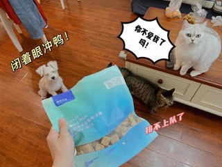 🔆宠物零食测评·第一弹🐶