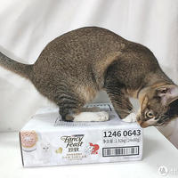 猫食界的“佛跳墙”，珍致猫零食罐头白金罐开箱体验