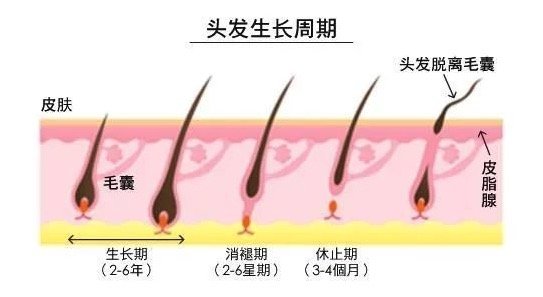 评论有奖&爆款清单：蔓迪黑科技来了，脱发人的必买清单