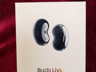 家庭栋梁败家成果展之buds live