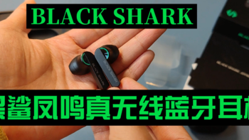 黑鲨首款无线蓝牙耳机，名字叫“凤鸣”!