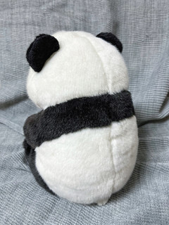 喜欢撸猫吗？还是熊猫那种！长隆可爱小熊猫