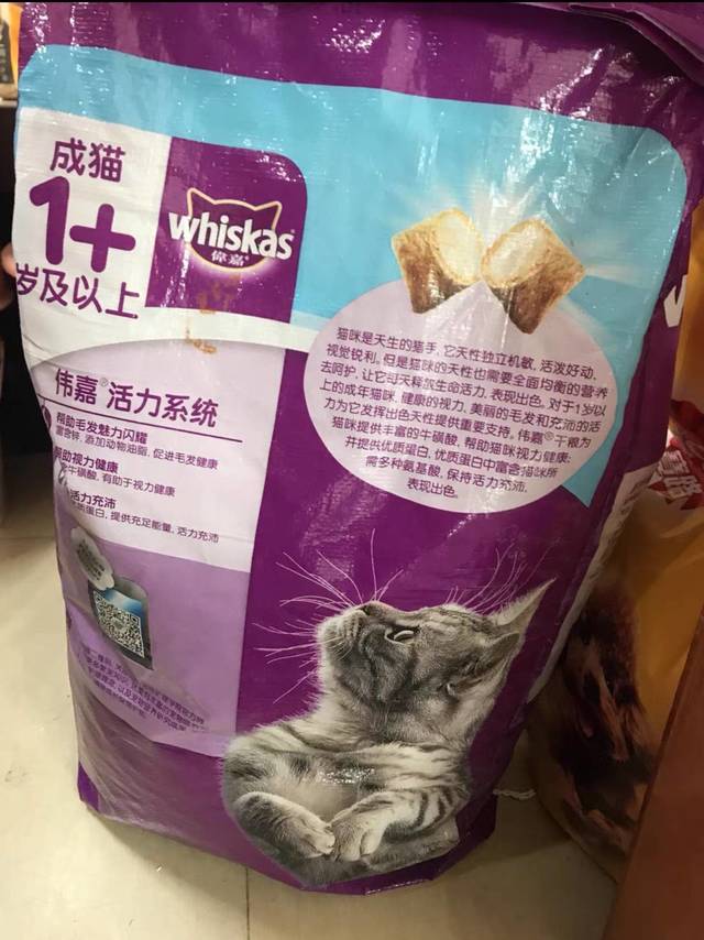 经济实惠，好吃不贵