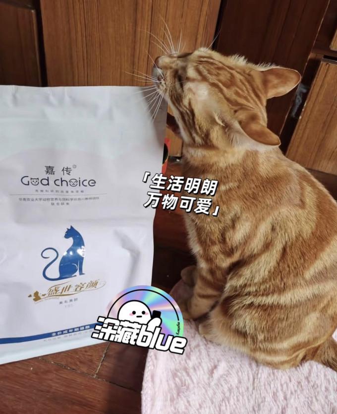 猫粮