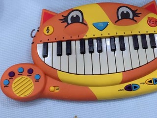 有点可爱的大嘴猫电子琴