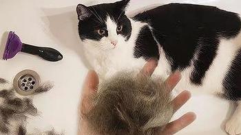 猫毛球症怎么治疗，化毛营养膏和化毛球片真的有用吗？