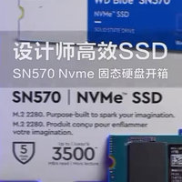 WD Blue SN570，性价比太高了