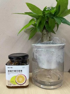 无限续杯！好喝到停不下来的好果茶