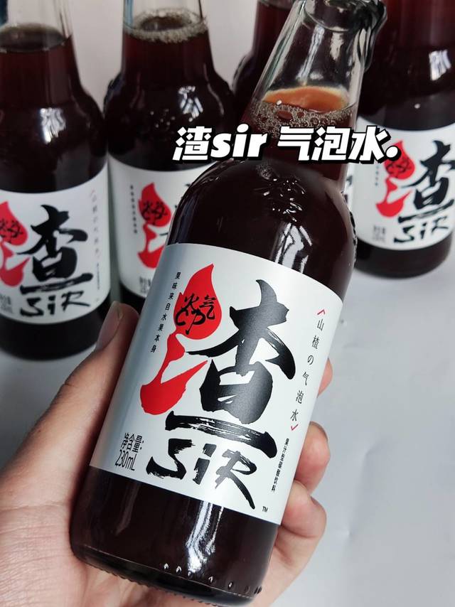 酸甜解腻，好喝到冒泡 | 渣sir气泡水