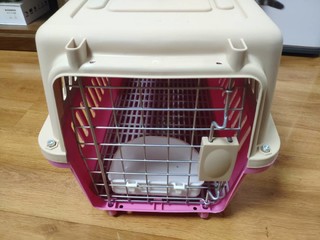 实用安全的猫咪托运箱