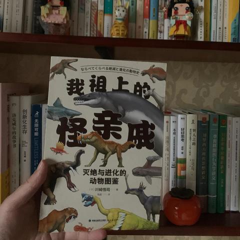 从长着蝴蝶结角的古生物到丰富的现生生物，我沉迷这本书不可自拔