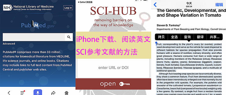 写论文 读研读博必备技能 Iphone 通过sci Hub手机阅读sci英文参考文献的方法 办公效率 什么值得买