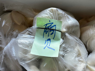 尝尝船歌鱼荠菜扇贝水饺。