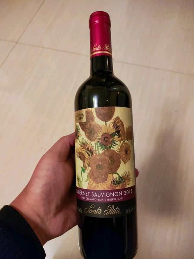 圣利塔国家画廊的向日葵🌻，YYDS