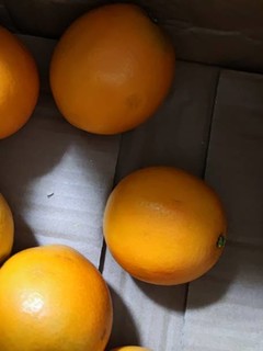 酸甜可口的橙子