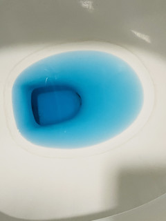 卫生间去异味 蓝月亮厕宝