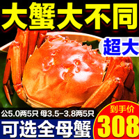 ​阳澄湖大闸蟹做法，也可以吃到地道口味