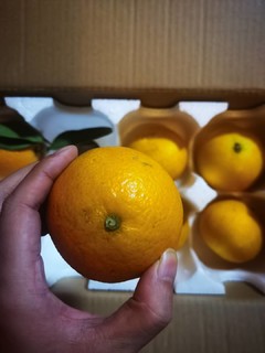 爱媛38果冻橙 有点酸啊
