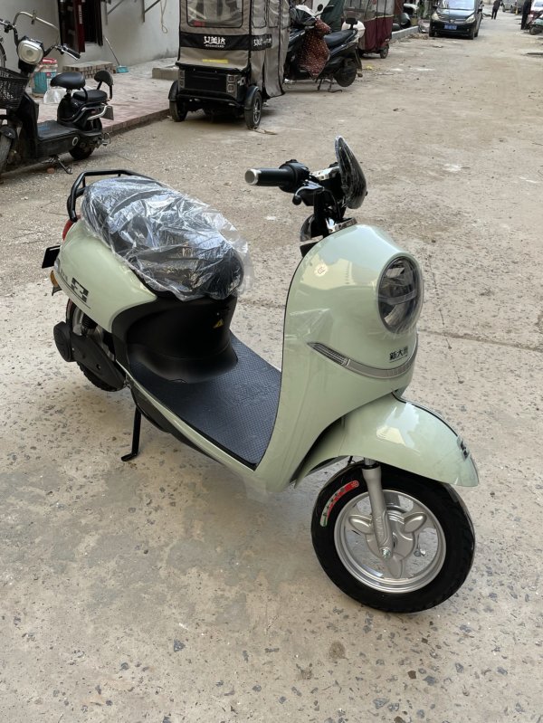 palla新大洲pr600dqt4c电动车