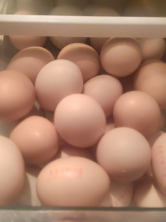圣迪乐村谷物代鸡蛋