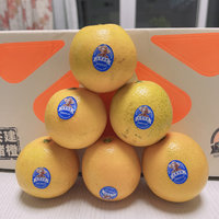 一年一度的褚橙季，真的“橙”意十足啊