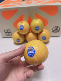 一年一度的褚橙季，真的“橙”意十足啊