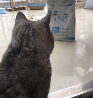 再也不怕软便！有鱼猫粮有心了！