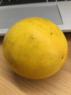 这个也是好吃的橙子