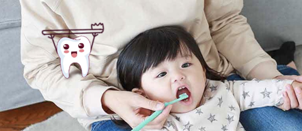 贝亲「亲子牙刷」上新：用于爸爸妈妈给宝宝刷牙的牙刷