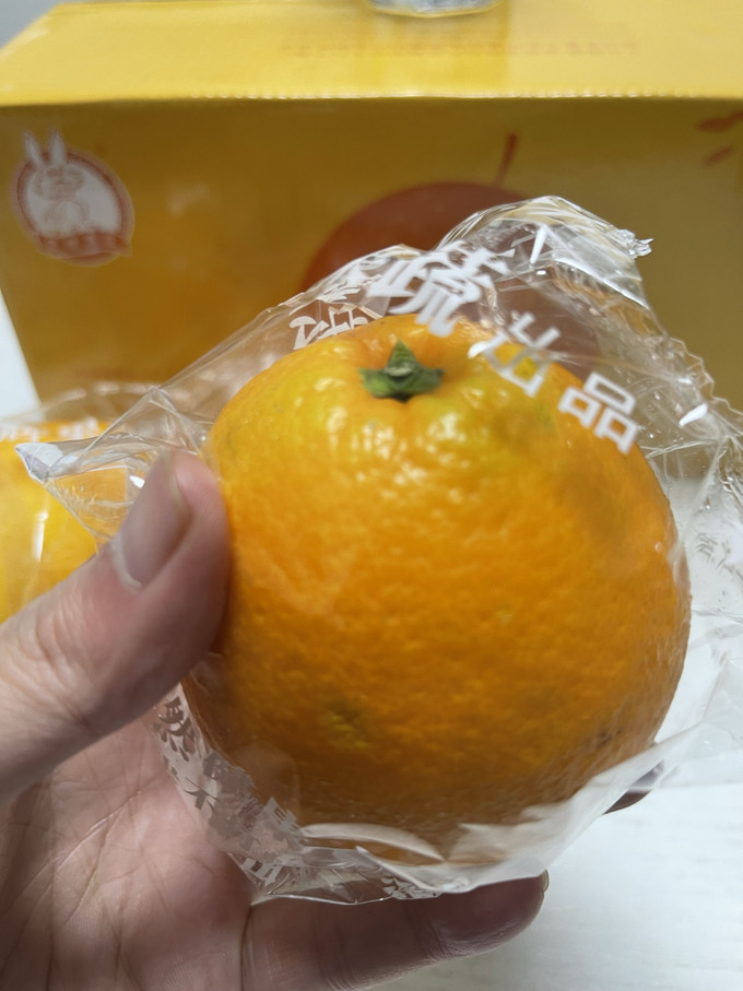 京觅橙子
