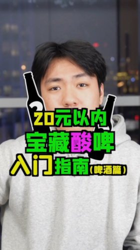 酸味啤酒值多少 这篇入门指南告诉你