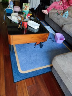 客厅地毯怎么选，这款防滑舒适又价廉