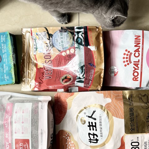 幼猫粮对比：ZIWI、ADDICTION、ROYAL CANIN、阿飞和巴弟、金装好主人