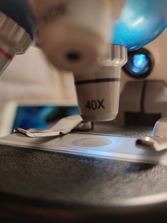 儿童显微镜