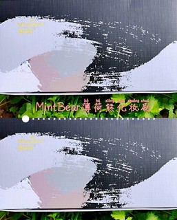 MintBear薄荷熊🐻化妆刷