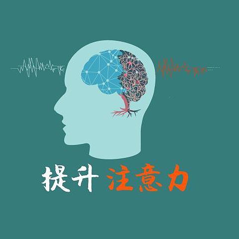 7个亲子游戏，6本书籍 | 用有效的方式提高孩子的专注力