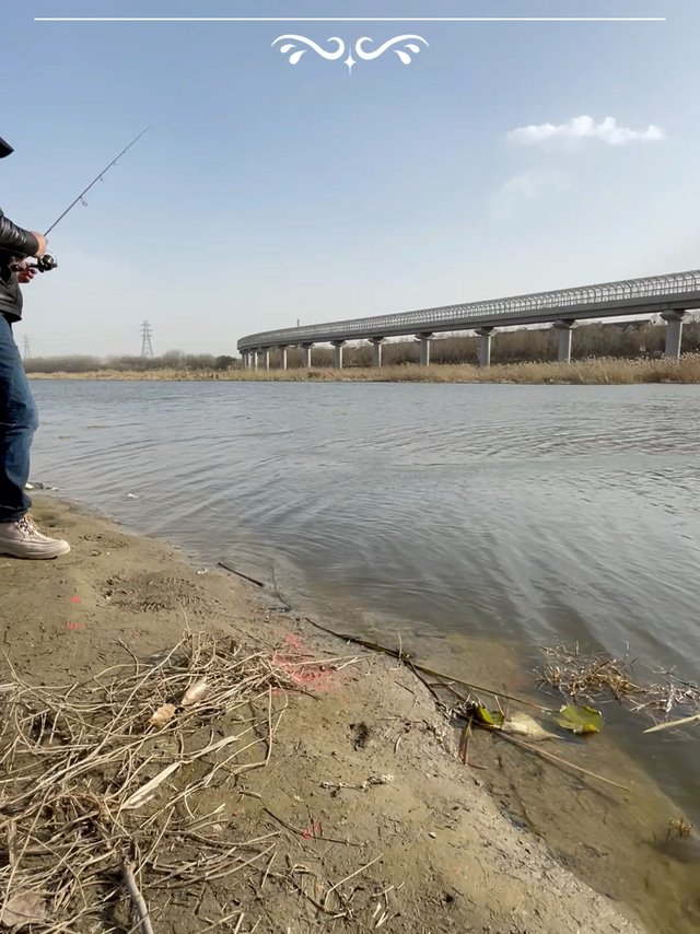 300元一套的阿布路亚竿新手套