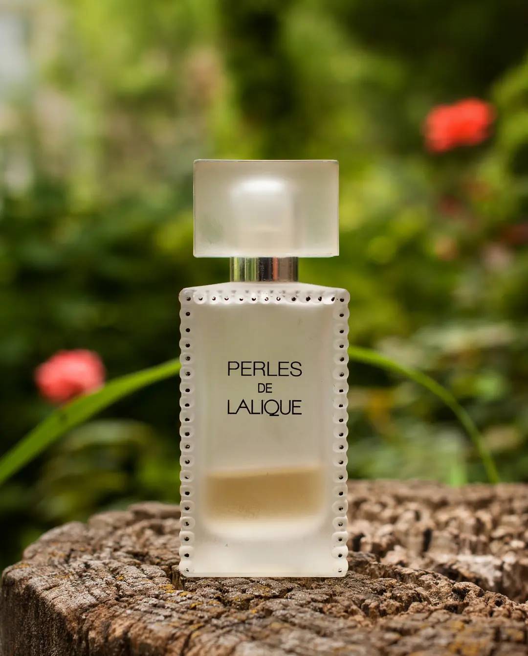 12款高级感满格的平价小众香，让你年底轻松剁手不心疼！