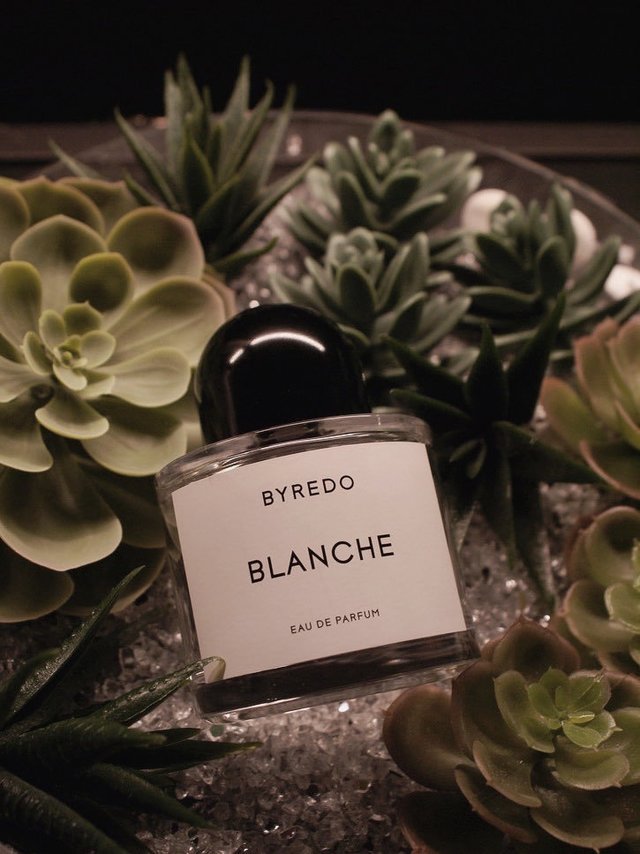 朴灿烈最爱的“老婆香”-百瑞德 白色浪漫