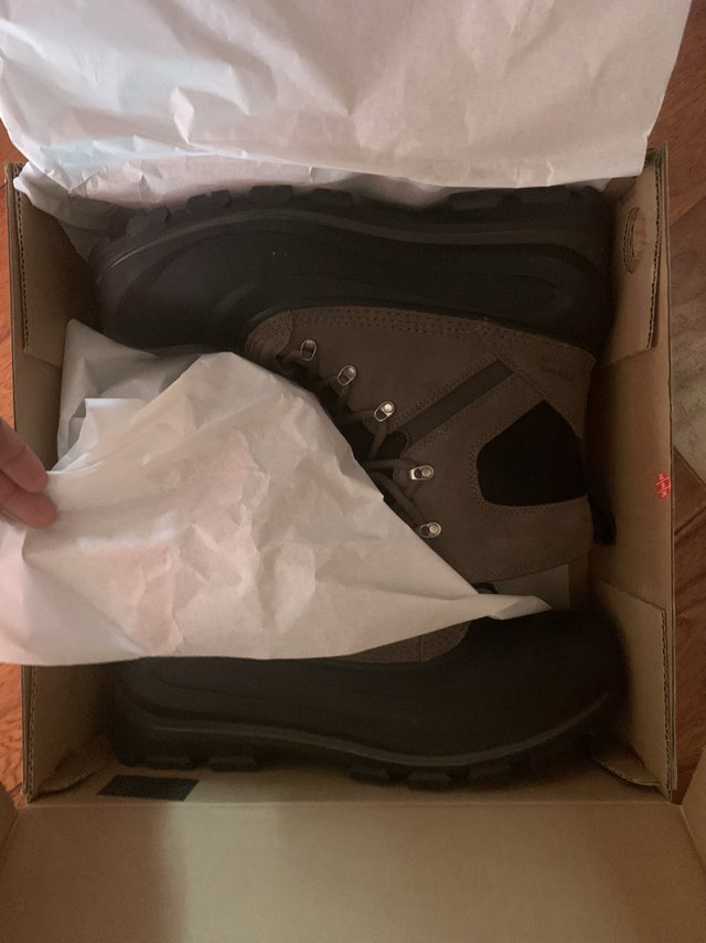 北极熊。雪地靴