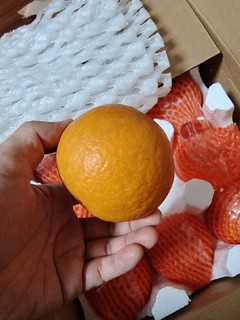 酸甜可口，汁水喷溅-爱媛38号果冻橙