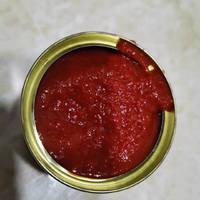 可爱袖珍的小番茄-冠农番茄酱