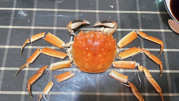 一次性吃下六只大闸蟹是怎样的体验