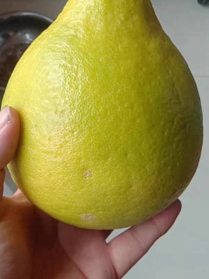 正宗梅州纯甜沙田柚纯甜柚子50斤顺丰包邮