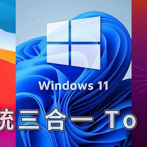 系统安装玩法多: macOS/win11/ubuntu 系统三合一 To Go